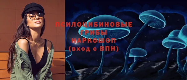 Альфа ПВП Беломорск