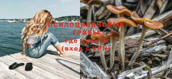 гидропоника Белокуриха