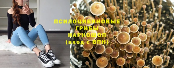 Альфа ПВП Беломорск