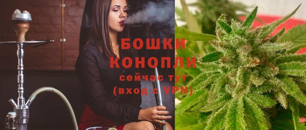 гидропоника Белокуриха