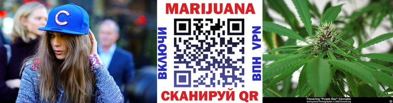 Конопля сатива  mega онион  Няндома 